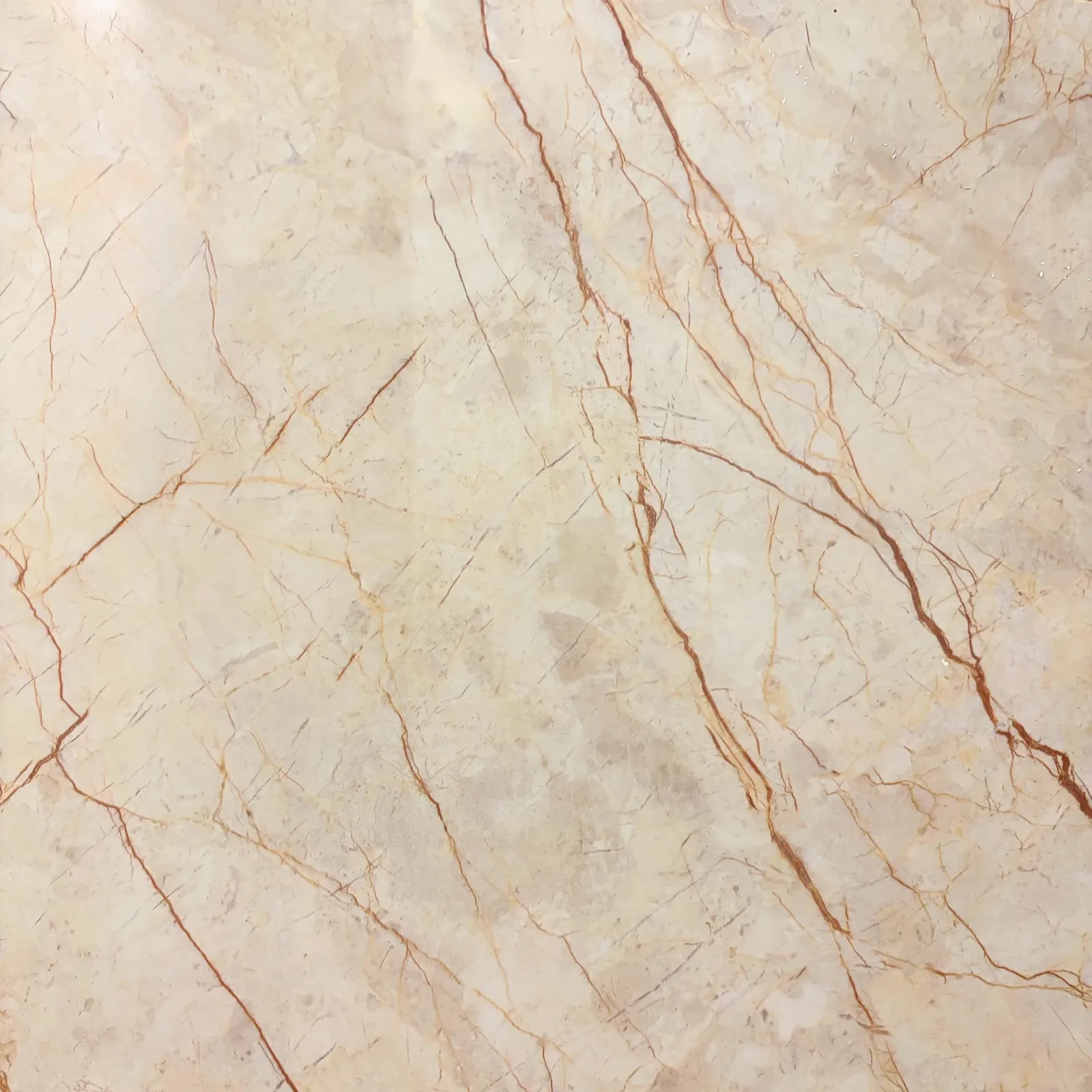 Panel PVC Alto Brillo — Marfil Crema